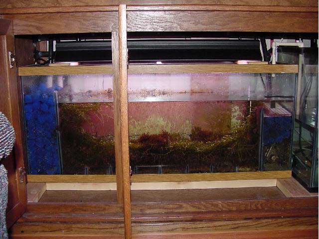 aquarium sump filter