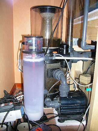 The protein skimmer is an Aqua Medic Turboflotor 5000 Shorty Compact.