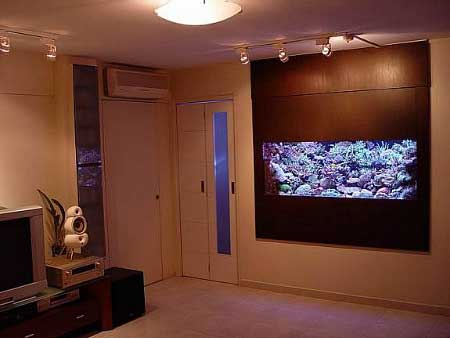 Reef Ready Tank