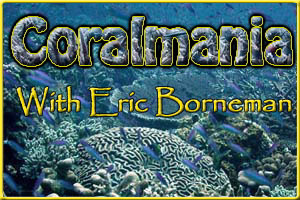 Coralmania by Eric Borneman