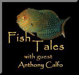 Fish Tales with guest Anthony Calfo
