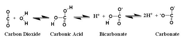 carbonic acid formula