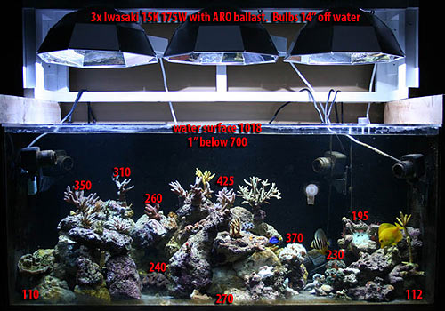 metal halide reef light