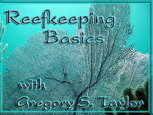 Reefkeeping Basics by Greg Taylor