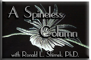 A Spineless Column by Ronald L. Shimek, Ph.D.