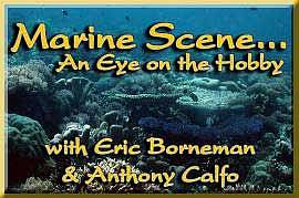 Marine Scene... An Eye on the Hobby with Eric Borneman & Anthony Calfo