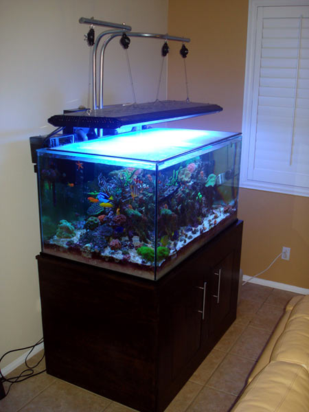 Diy aquarium shop light stand