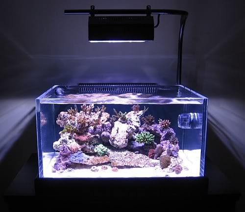 Aquarium shop light fixture